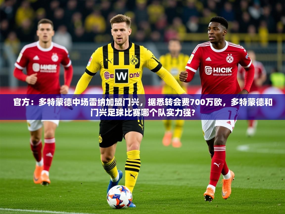 2025开云体育注册app官方:多特蒙德中场雷纳加盟门兴,据悉转会费700万欧,多特蒙德和门兴足球比赛哪个队实力强? 第1张