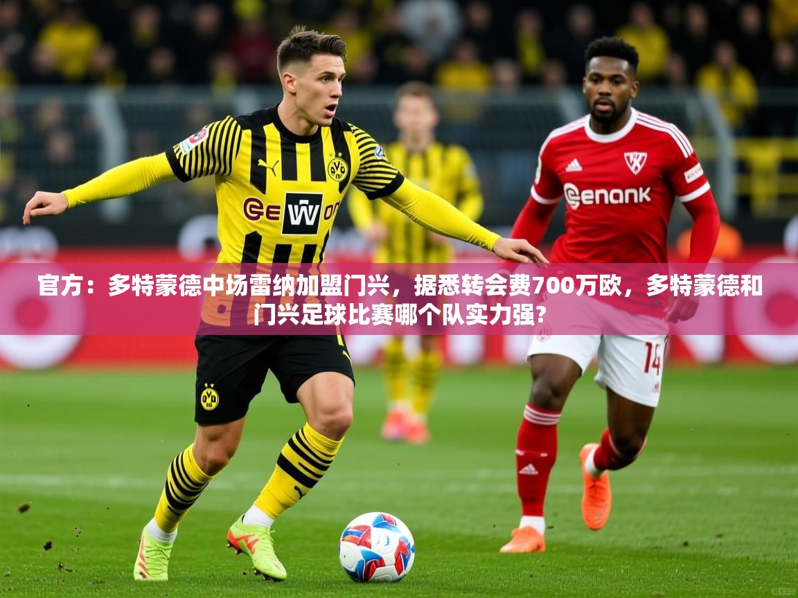 2025开云体育注册app官方:多特蒙德中场雷纳加盟门兴,据悉转会费700万欧,多特蒙德和门兴足球比赛哪个队实力强? 第2张