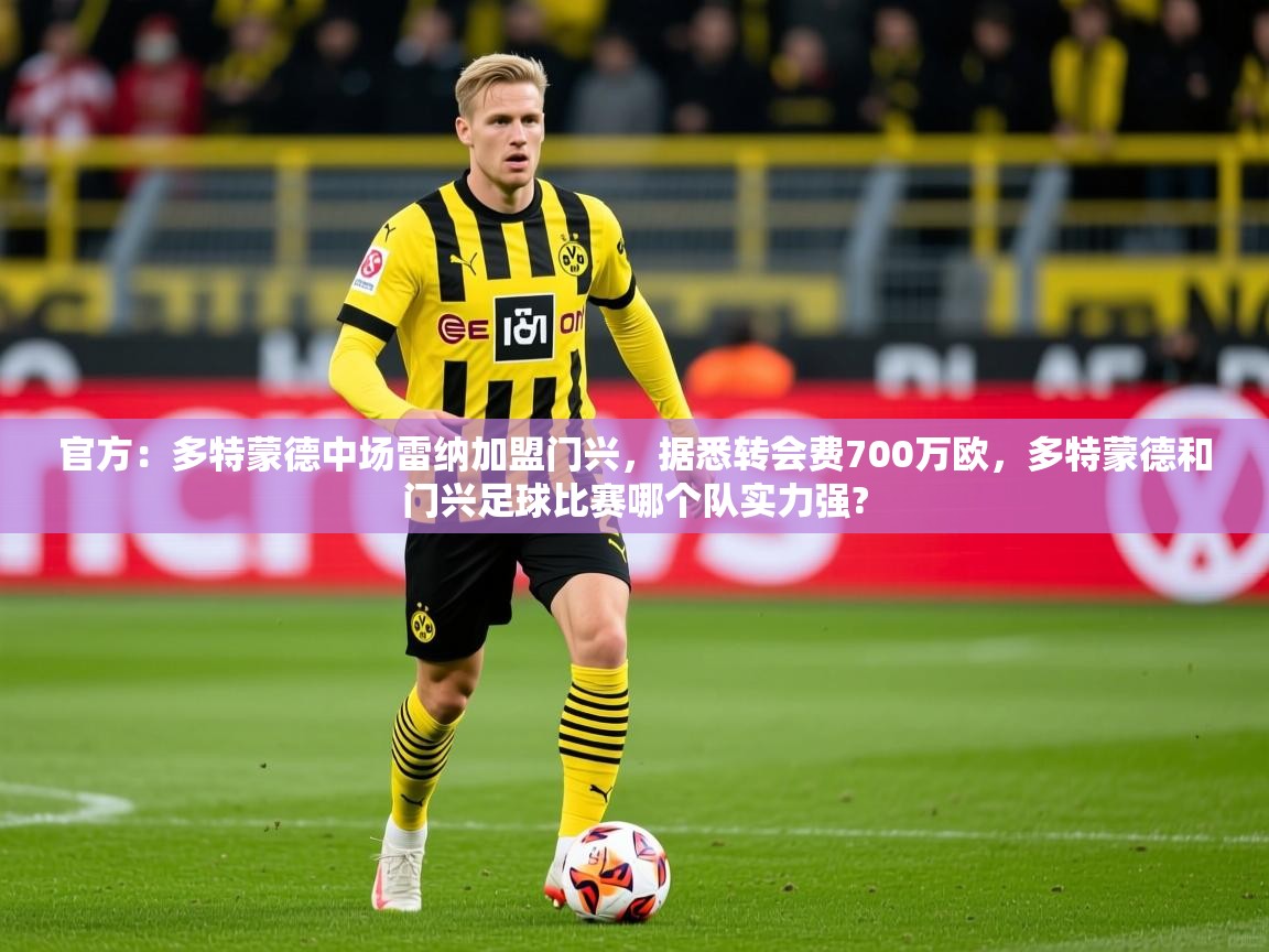 2025开云体育注册app官方:多特蒙德中场雷纳加盟门兴,据悉转会费700万欧,多特蒙德和门兴足球比赛哪个队实力强? 第3张