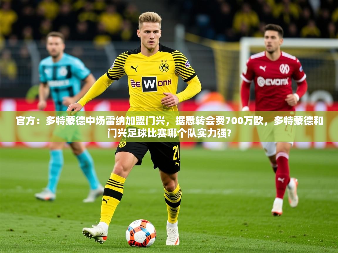 2025开云体育注册app官方:多特蒙德中场雷纳加盟门兴,据悉转会费700万欧,多特蒙德和门兴足球比赛哪个队实力强? 第4张