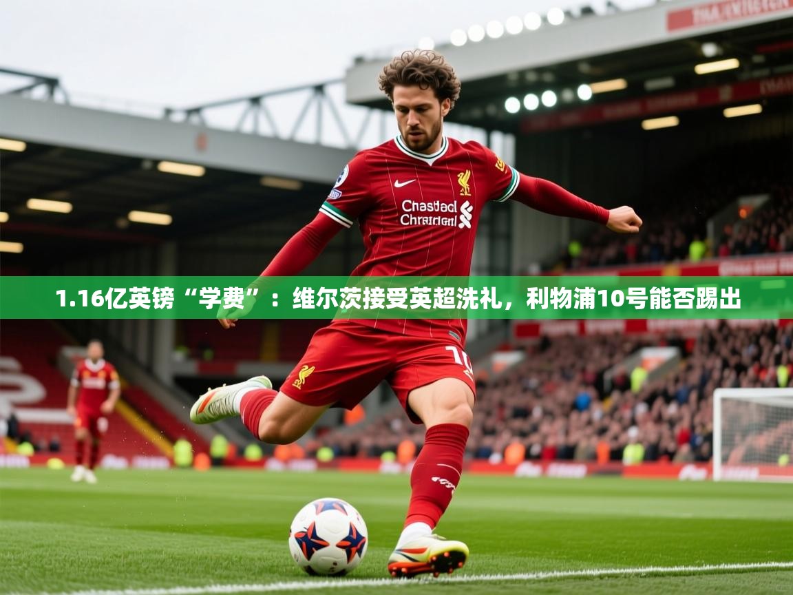 2025开云体育app官方1.16亿英镑“学费”：维尔茨接受英超洗礼，利物浦10号能否踢出  第2张