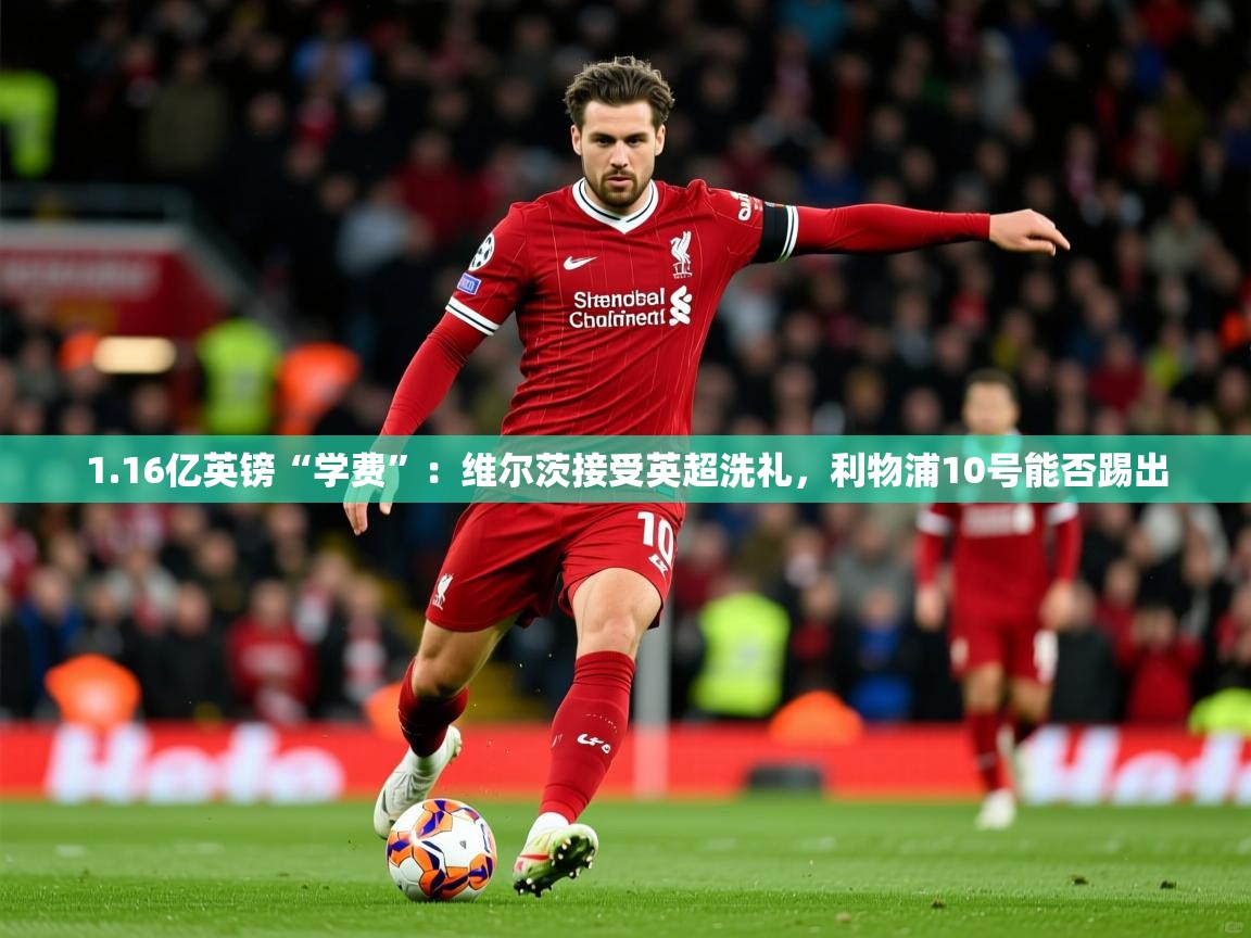 2025开云体育app官方1.16亿英镑“学费”：维尔茨接受英超洗礼，利物浦10号能否踢出  第4张