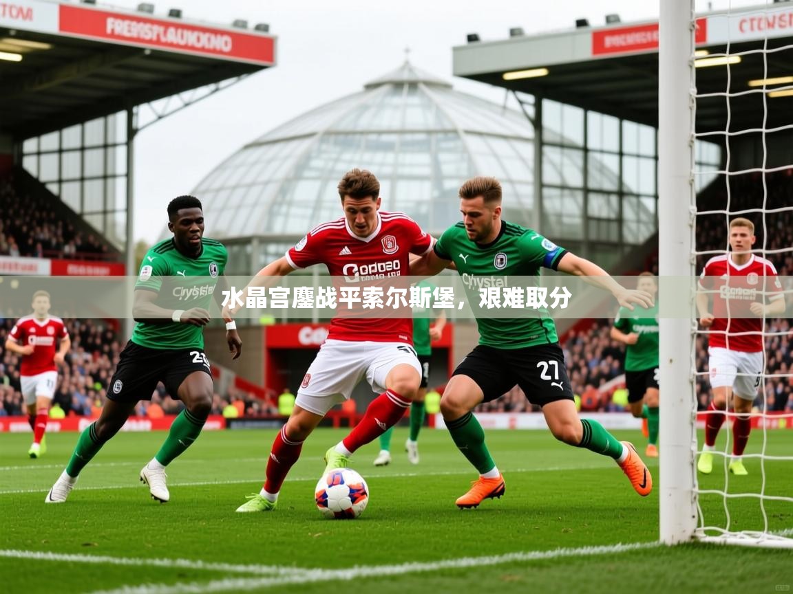 2026开云体育在线登入水晶宫鏖战平索尔斯堡，艰难取分  第1张