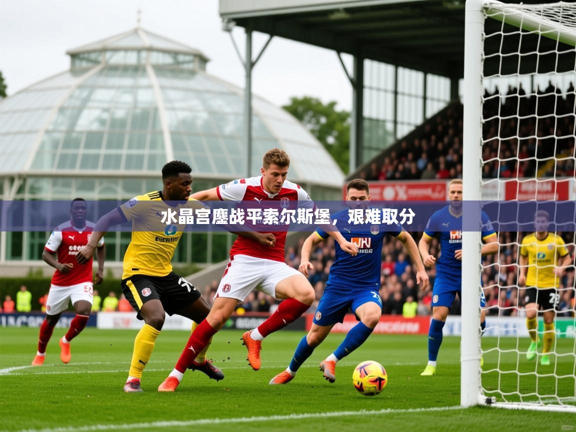 2026开云体育在线登入水晶宫鏖战平索尔斯堡，艰难取分  第4张