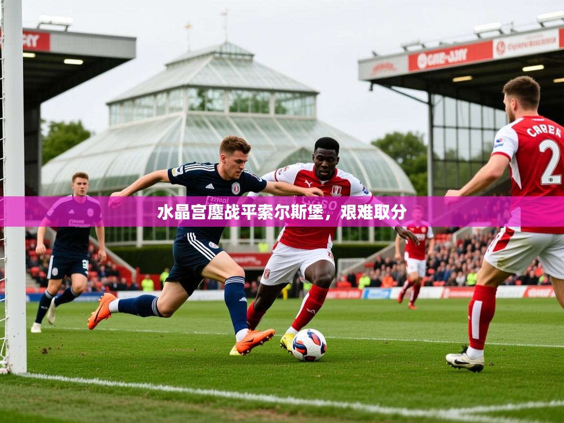 2026开云体育在线登入水晶宫鏖战平索尔斯堡，艰难取分  第2张