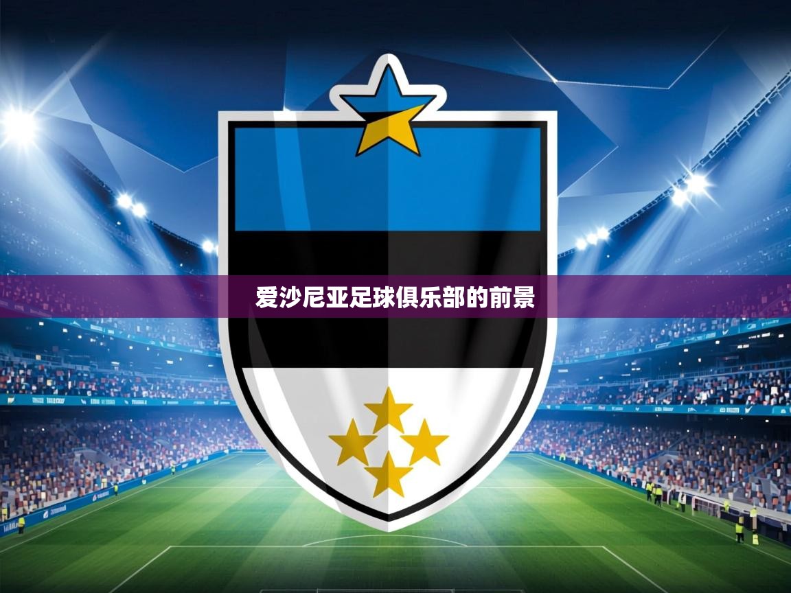 2026开云体育官网入口爱沙尼亚足球俱乐部的前景  第1张