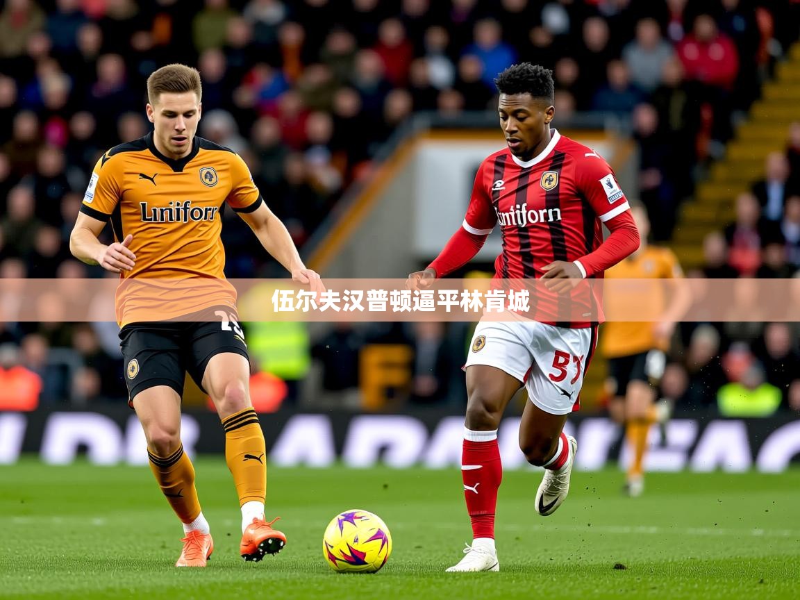 2026开云体育在线登入伍尔夫汉普顿逼平林肯城  第2张