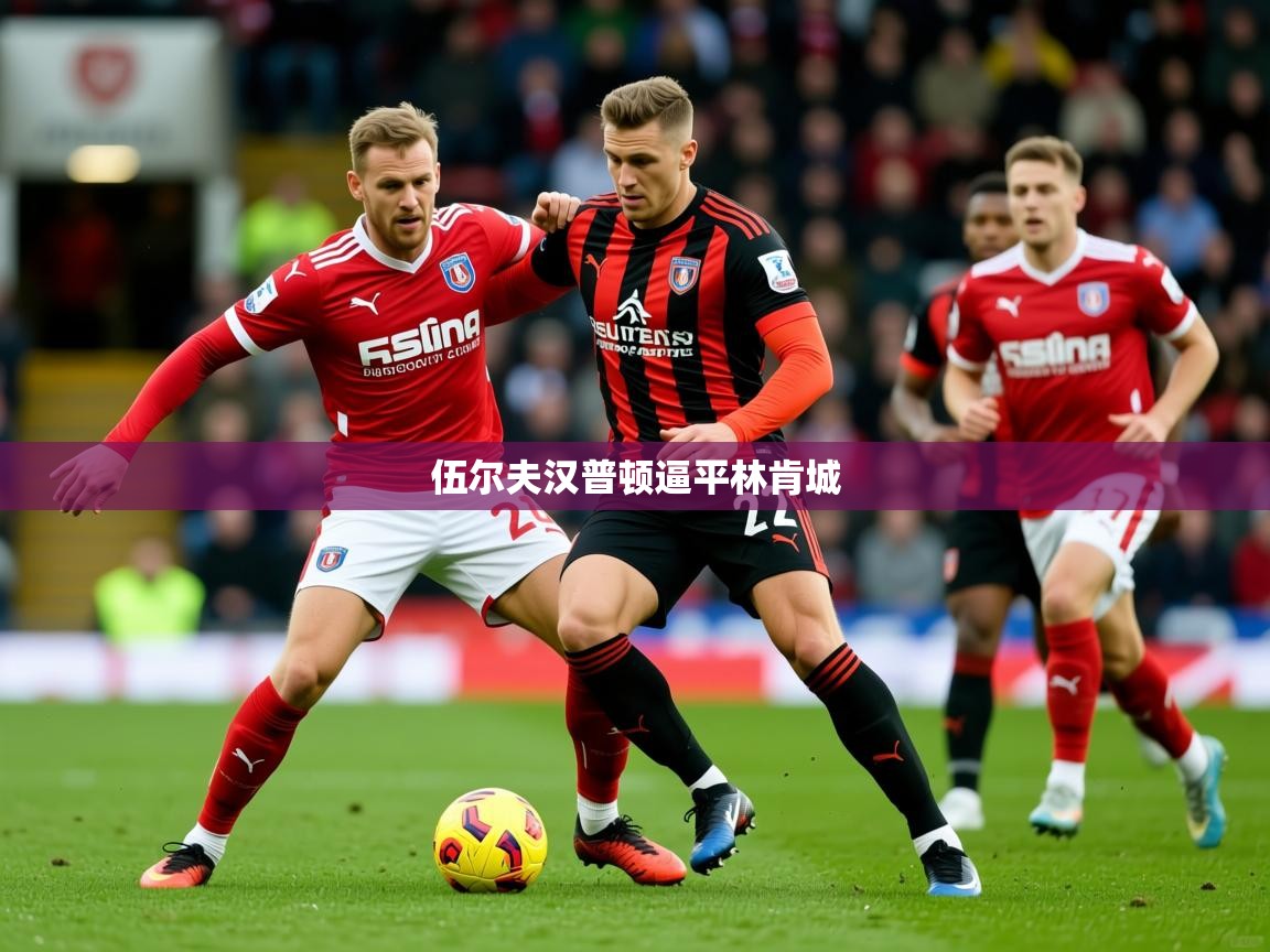 2026开云体育在线登入伍尔夫汉普顿逼平林肯城  第3张